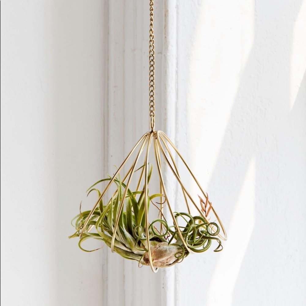 urban outfitters caged metal hanging air plant holder